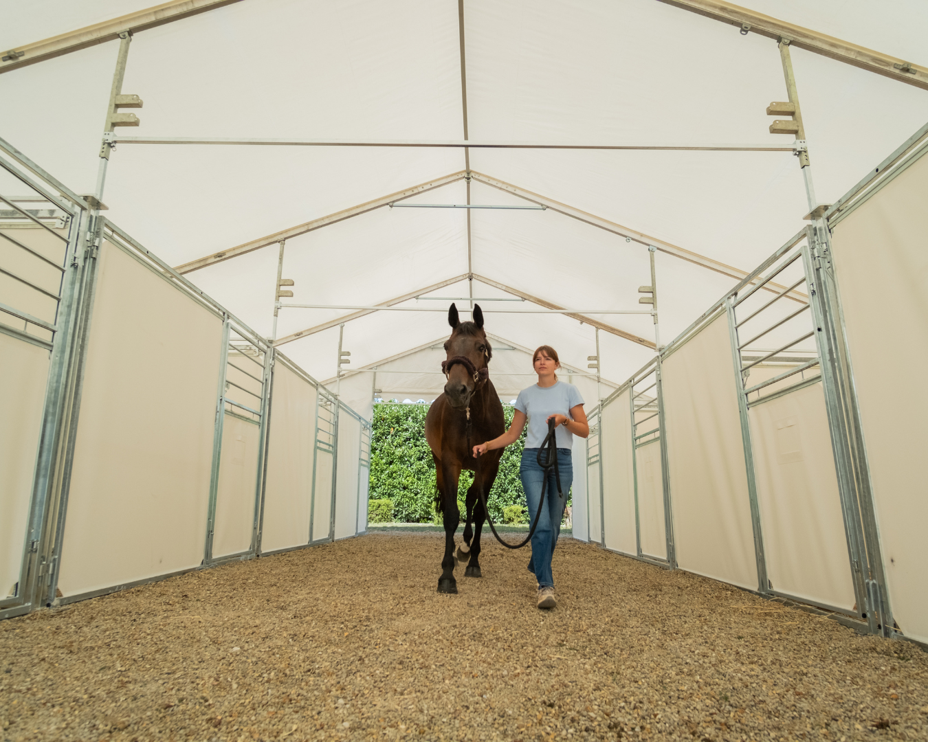 Demo Olympic Open - Cheval allée centrale